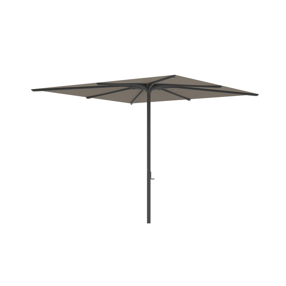 Royal Botania Bloom Sonnenschirm 2,75 x 2,75 m, Gestell anthrazit, Bespannung cappuccino