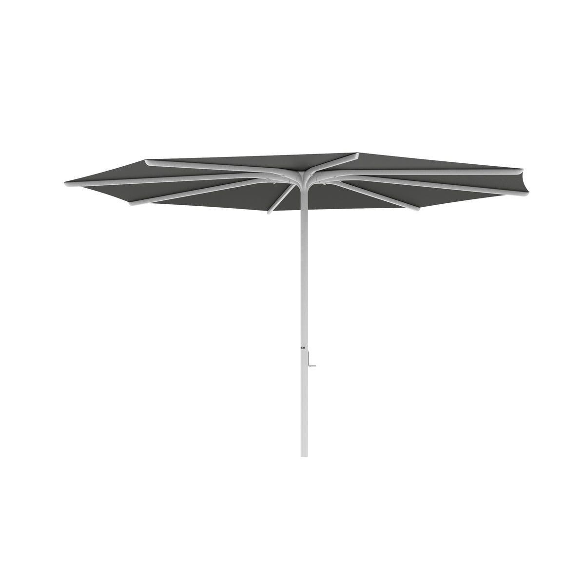 Royal Botania Bloom Sonnenschirm Ø 3,8 m, Gestell weiß, Bespannung schwarz (black)