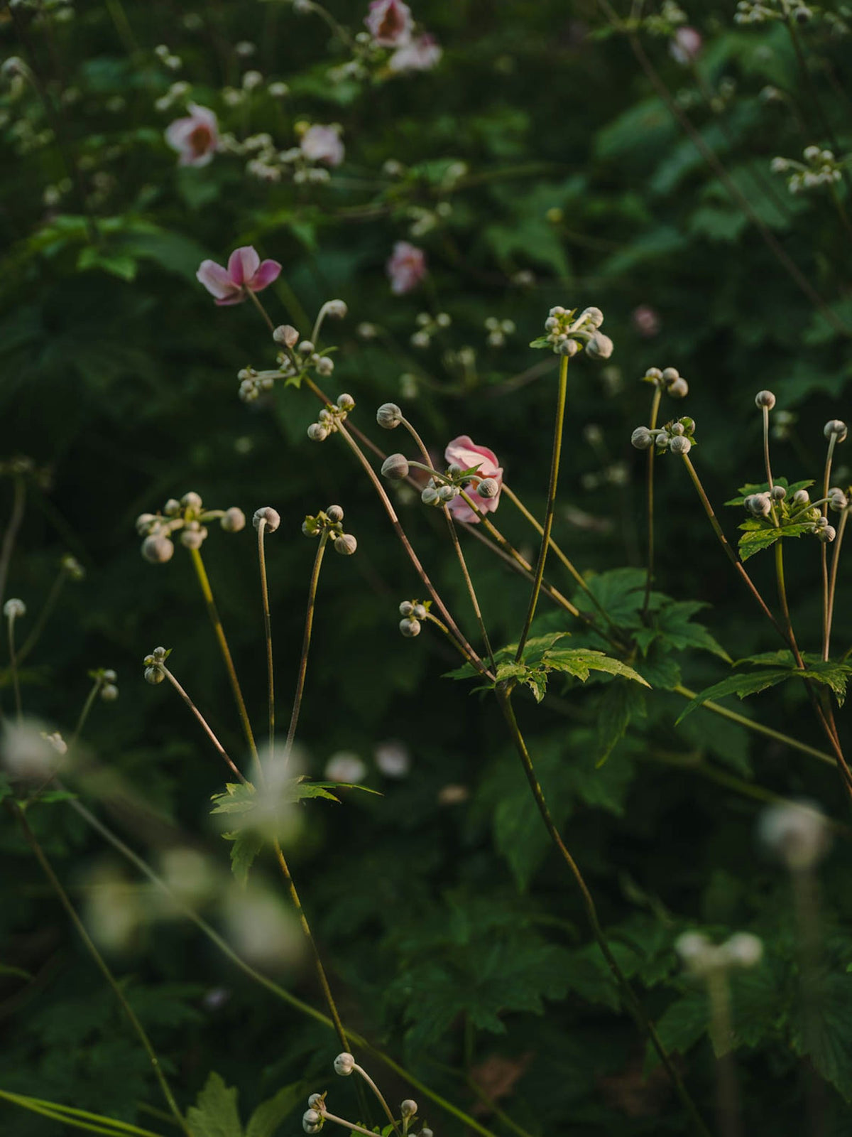 Kettal NET Esstisch, quadratisch – Ambiente Garten