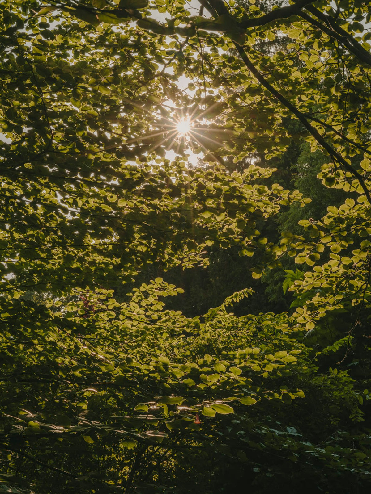 Kettal Landscape Sonnenliege – Wohnsituation im Freien