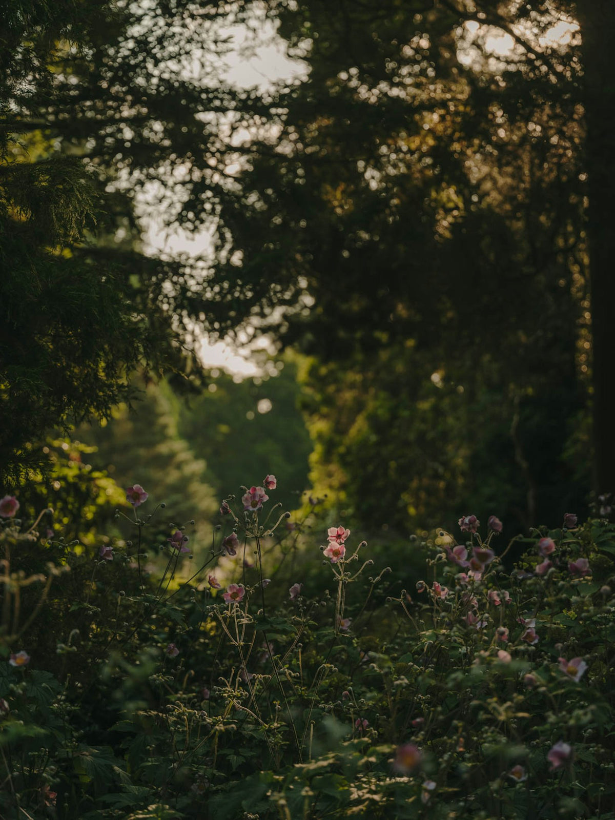 Kettal NET Esstisch, quadratisch – Ambiente