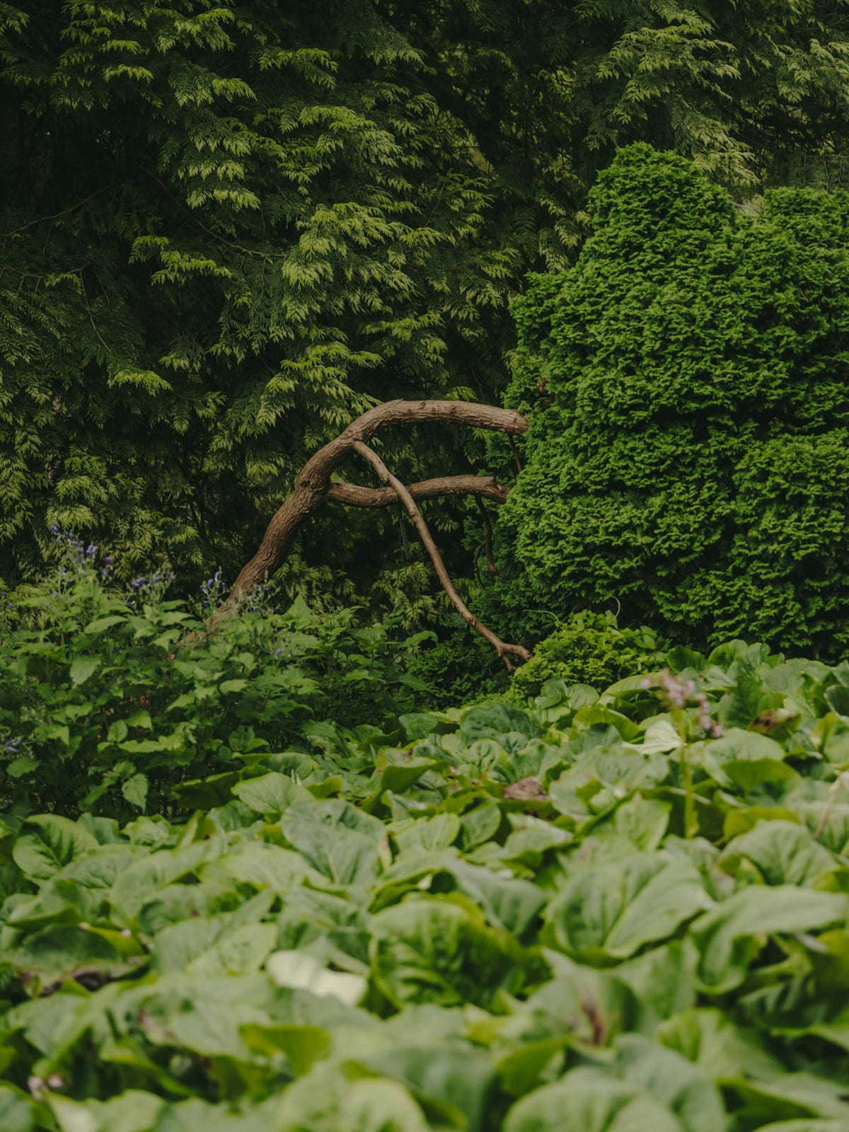 Kettal Bitta Liegestuhl – Ambiente