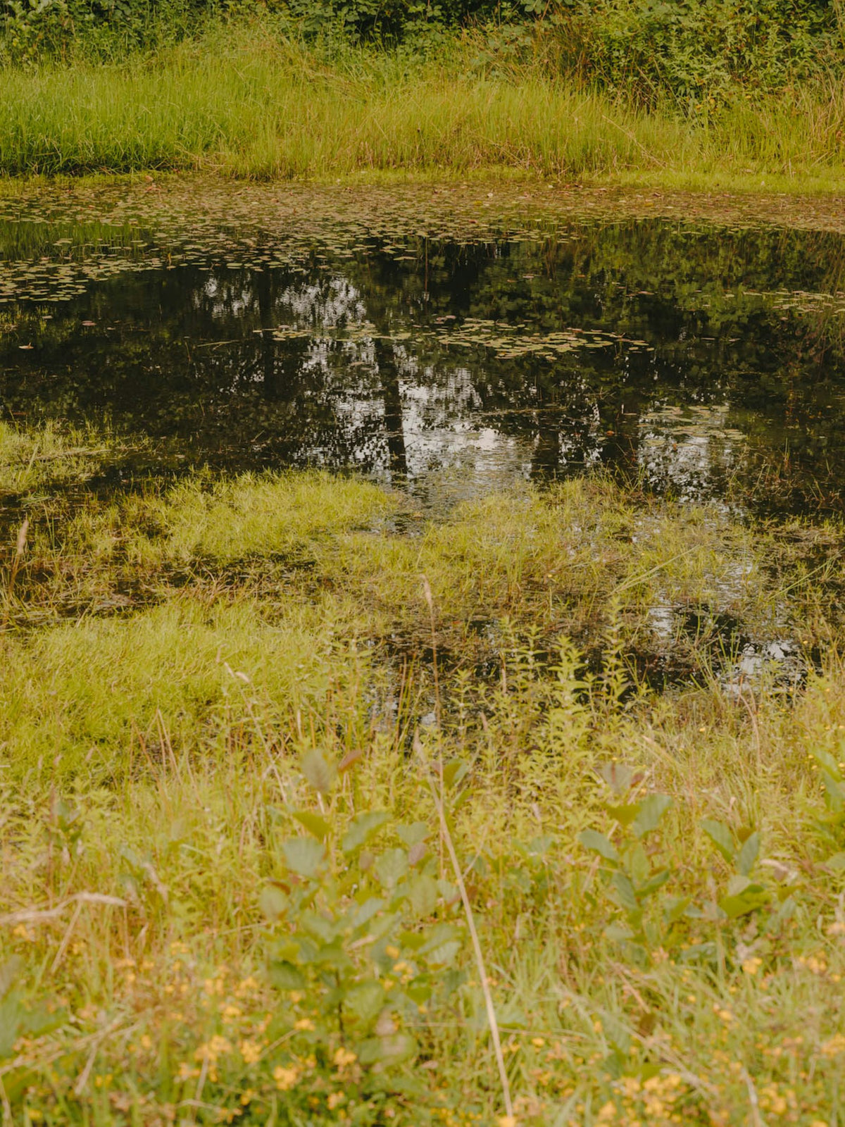 Kettal Landscape Via Liegestuhl doppelt – im Garten