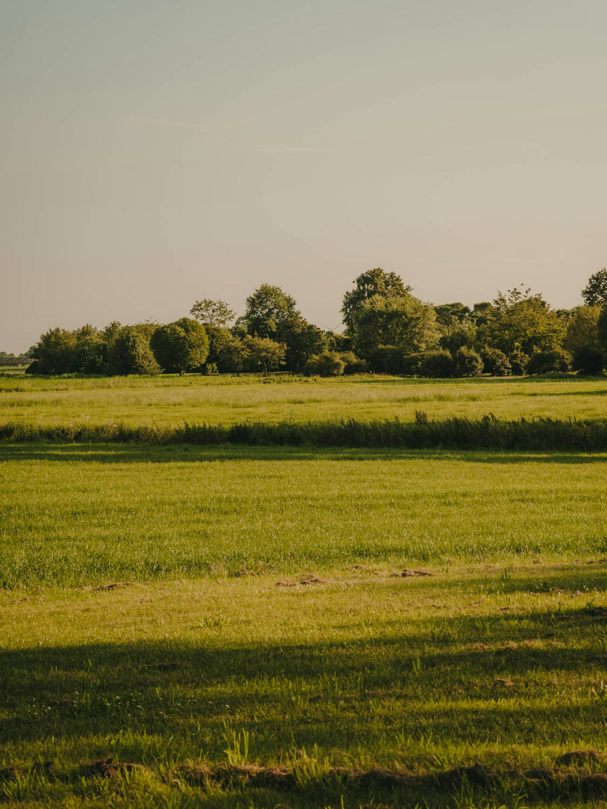 Kettal Net Clubsessel – Ambiente Garten