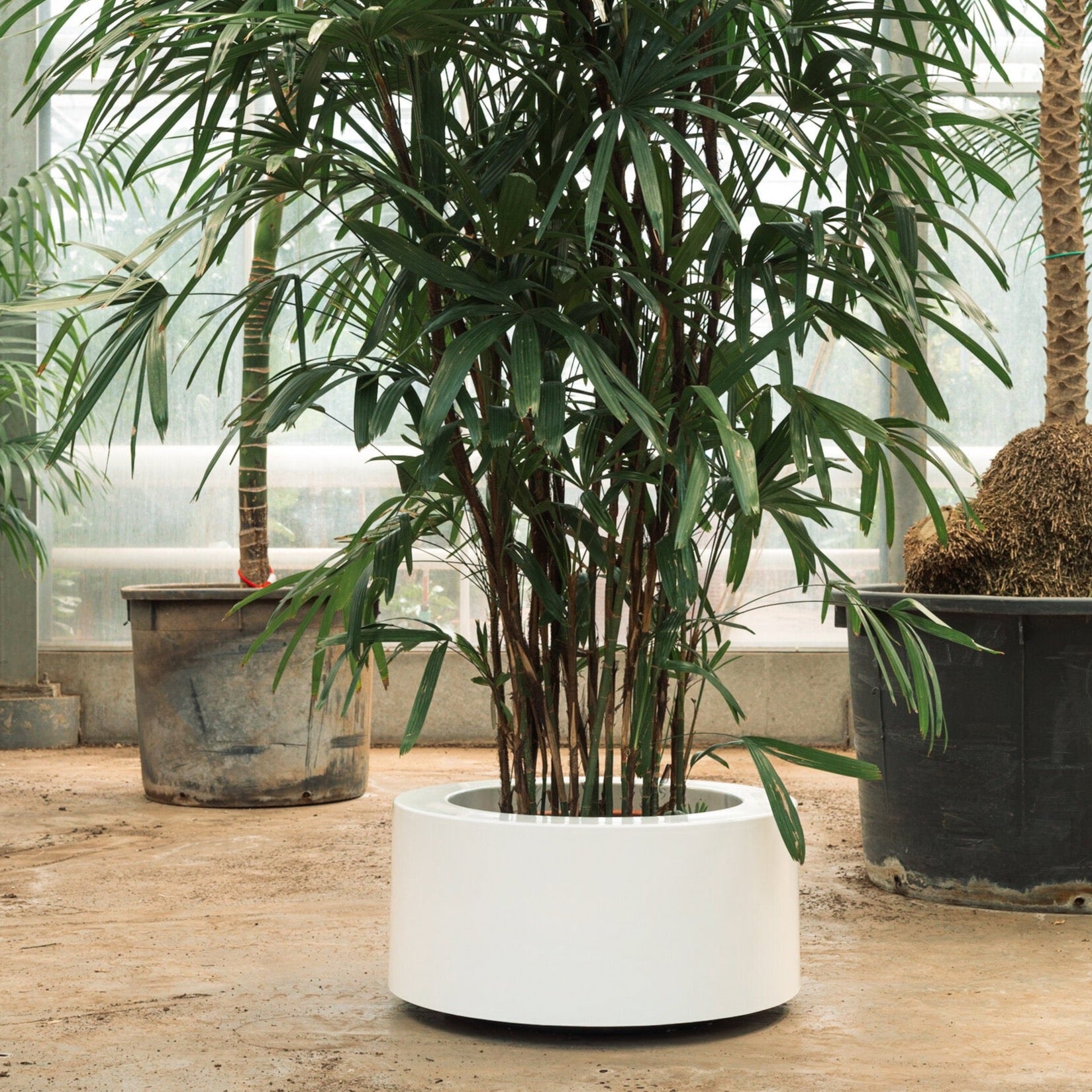 Lviv I Polyester Pflanzgefäß rund in vielen RAL Farben