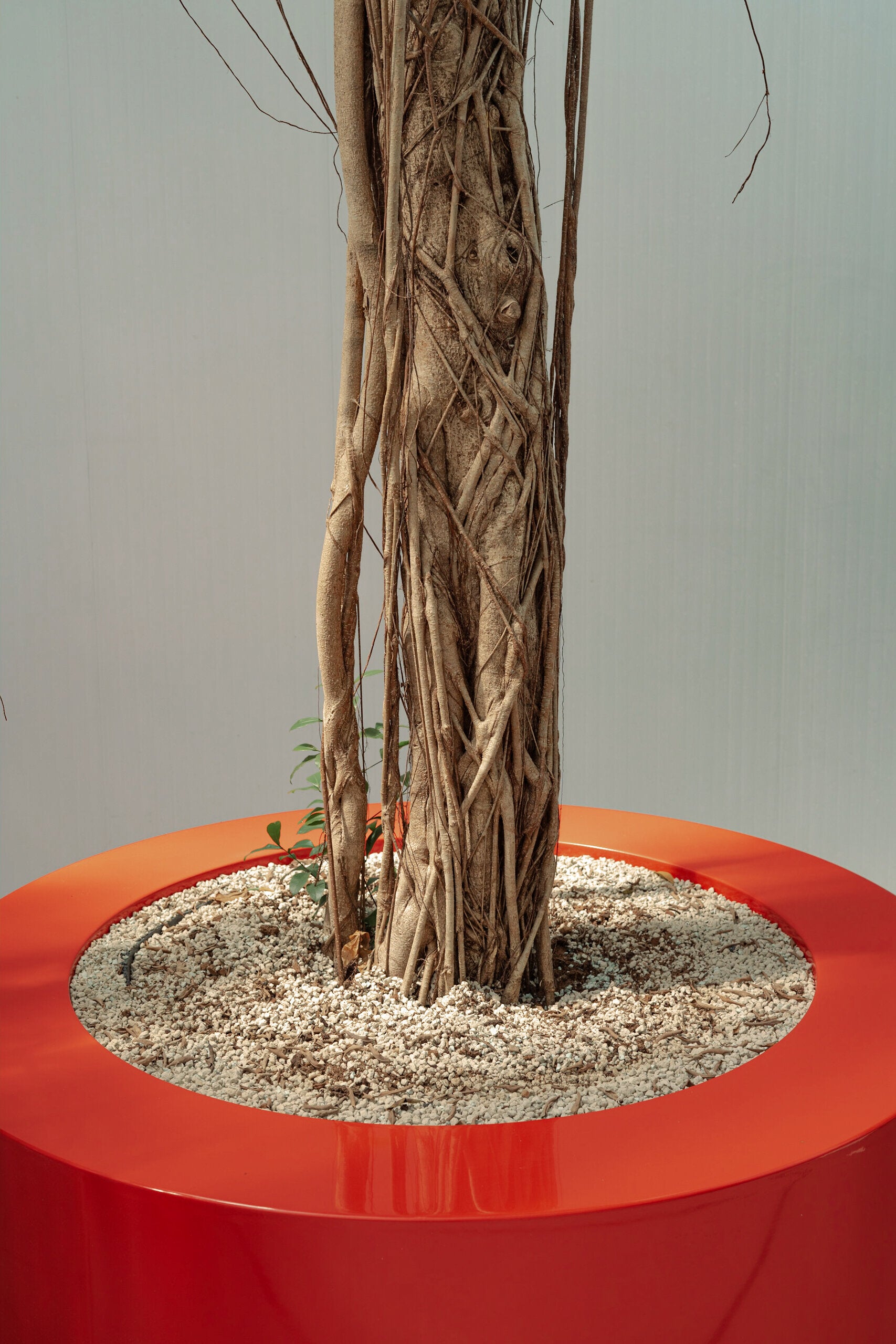 Lviv I Polyester Pflanzgefäß rund in vielen RAL Farben