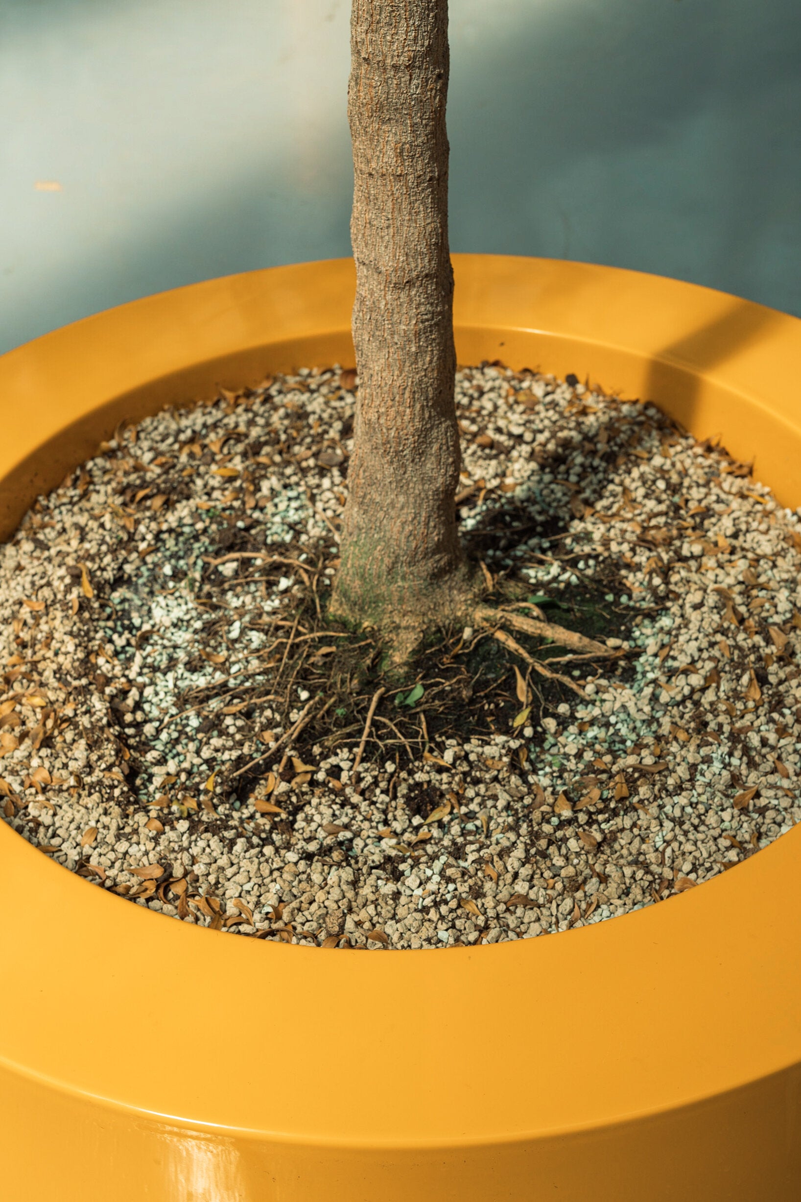 Lviv I Polyester Pflanzgefäß rund in vielen RAL Farben
