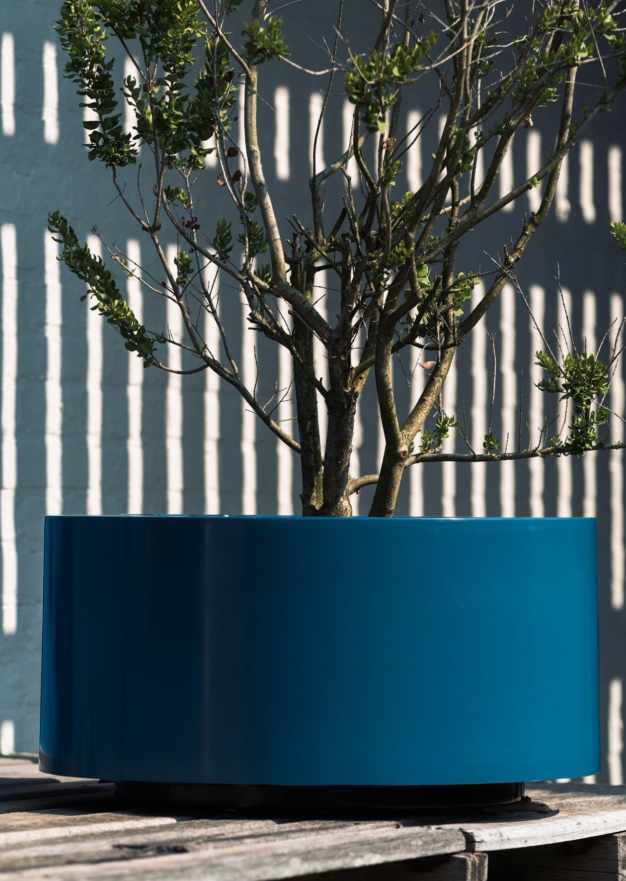 Lviv I Polyester Pflanzgefäß rund in vielen RAL Farben