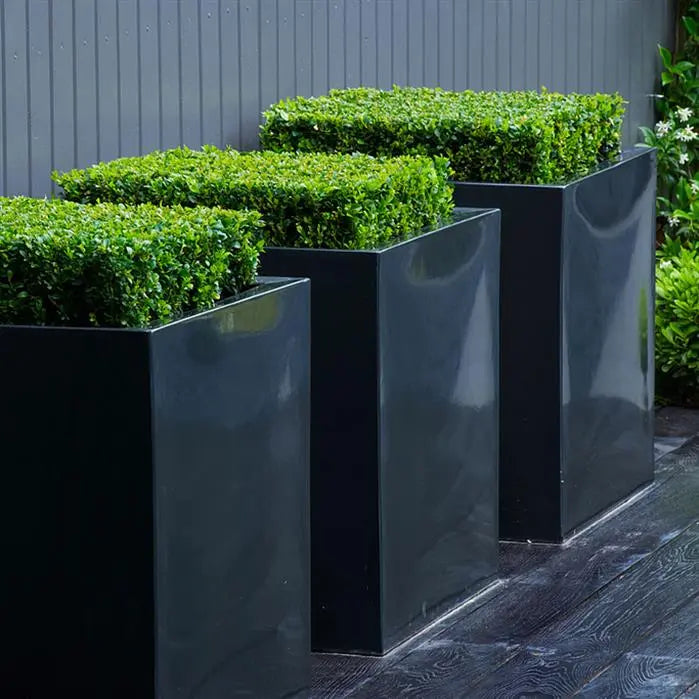 Einfache Mobilität für maximale Flexibilität
Dank praktischer Rollen lässt sich das Carrez Pflanzengefäß ganz leicht umstellen. Perfekt für wechselnde Standorte, sei es für mehr Sonne oder als flexibler Sichtschutz. Ein Gefäß, das sich Ihren Wünschen anpasst.