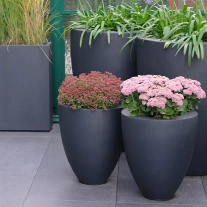 Adezz I Canna aus Fiberglas