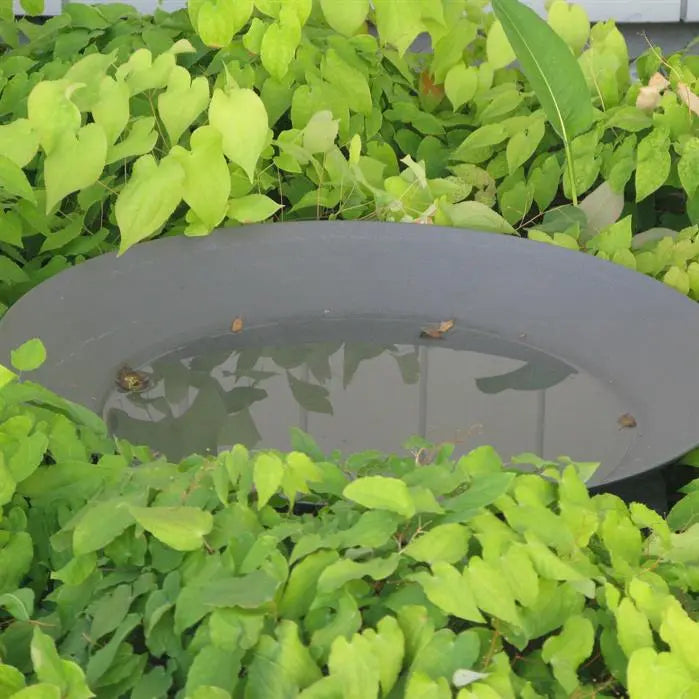 Adezz I Wasserschale aus beschichtetem Stahl