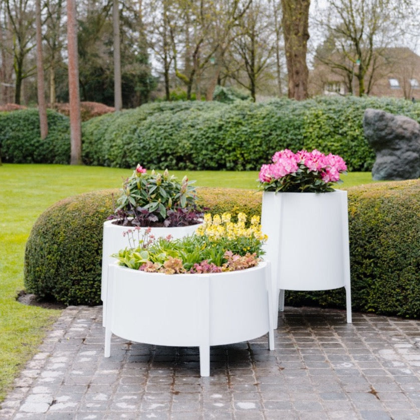 Das BOTAN Pflanzgefäß ist in verschiedenen Farben erhältlich, darunter Verkehrsweiß, Schwarzgrau und Anthrazitgrau. Diese spezielle Pulverbeschichtung sorgt für eine ansprechende Optik und macht das Gefäß kratzfest sowie leicht zu reinigen. Bringen Sie Farbe in Ihren Garten und wählen Sie die Nuance, die am besten zu Ihrem Stil passt!