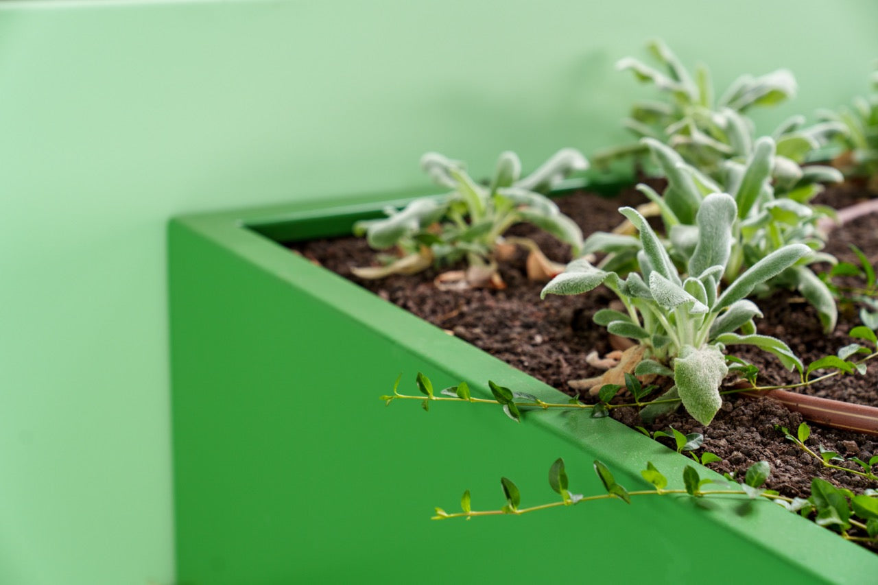 Adezz I Carrez aus Aluminium, rechteckig