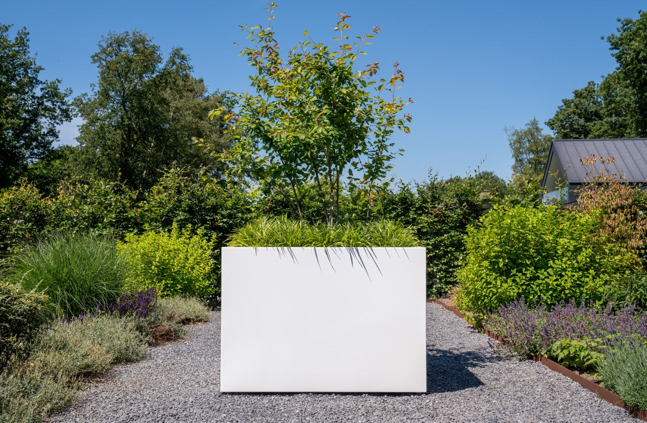 Hochwertiges Aluminium Pflanzgefäß für stilvolle Gartengestaltung
Dieses kratzfeste und wetterfeste Pflanzgefäß bleibt jahrelang schön und sorgt für ein elegantes Ambiente in Ihrem Garten.