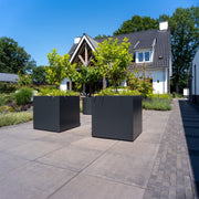 Adezz Carrez Aluminium Pflanzgefäß – Robustes Design für jeden Garten
Hochwertiges, kratzfestes Aluminium, das Wind und Wetter trotzt – ideal für den Außenbereich. Perfekt für lange Jahre der Gartengestaltung.