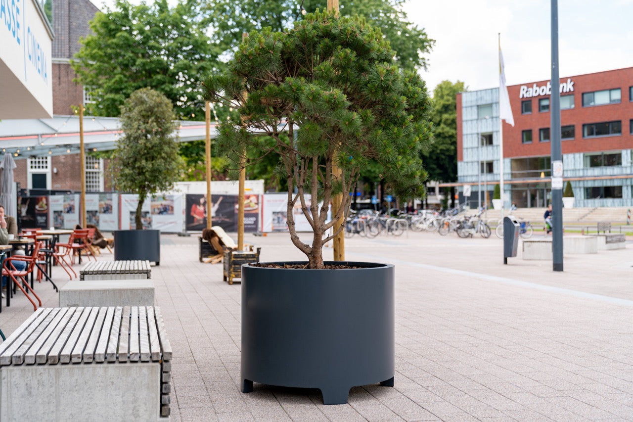 Dank seiner korrosionsbeständigen Beschichtung widersteht das Pflanzgefäß allen Wetterbedingungen – ideal für den ganzjährigen Einsatz.