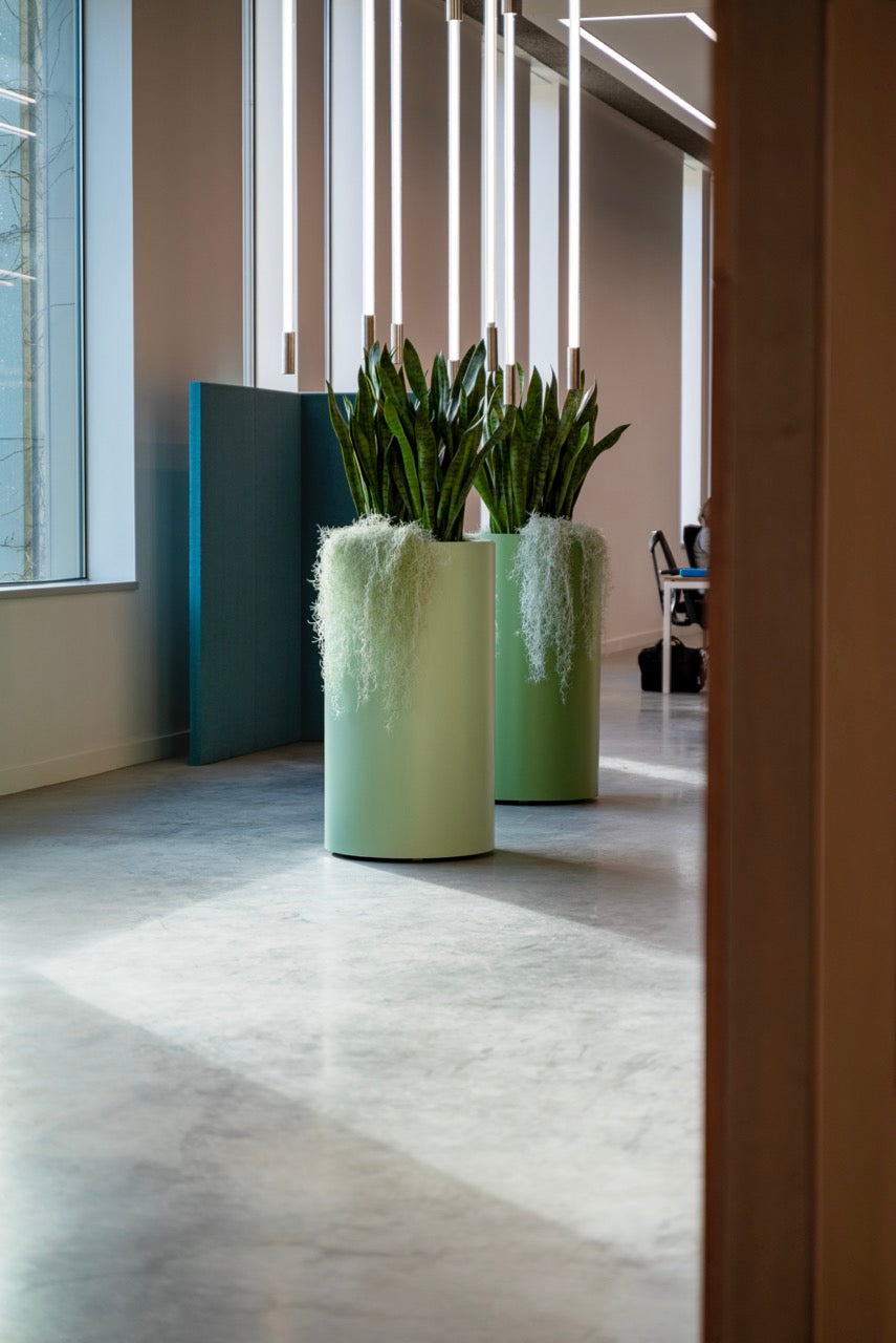 Die integrierten Entwässerungslöcher ermöglichen ein problemloses Abfließen von Wasser – ideal für gesunde Pflanzen.