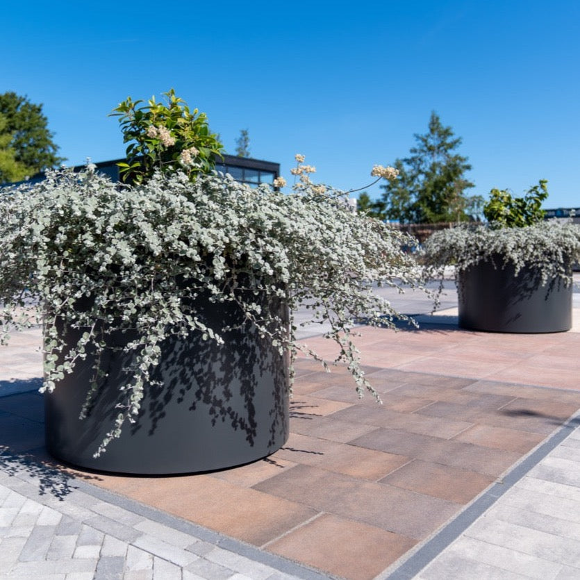 Dieses Pflanzgefäß ist korrosionsbeständig und trotzt jeder Witterung. Eine hochwertige Pulverbeschichtung sorgt für zusätzlichen Schutz.