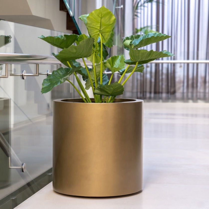 Das ADEZZ Circum Pflanzgefäß ist aus robustem Aluminium gefertigt und mit einer besonderen Metallic-Beschichtung versehen, die in den Farben Gold, Bronze und Kupfer verfügbar ist. Die glänzende Oberfläche setzt eindrucksvolle Akzente und ist witterungsbeständig.