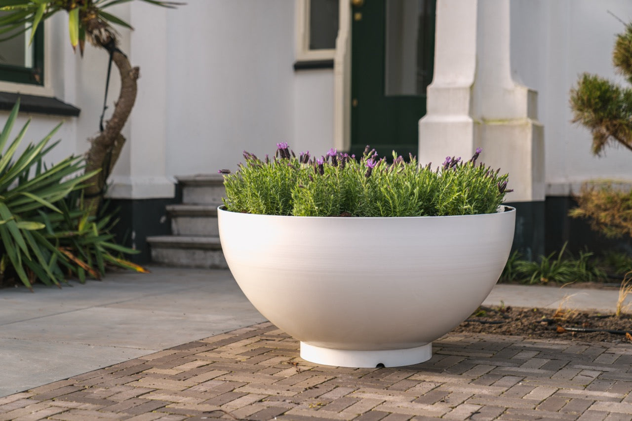 Adezz Bocca planter made of coated steel 