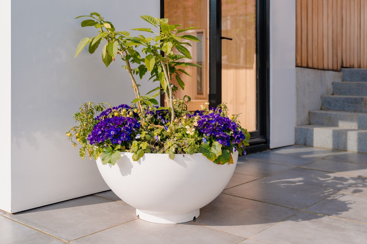 Fügen Sie Ihrem Garten einen Hauch von Eleganz hinzu mit dem BOCCA Pflanzgefäß aus beschichtetem Stahl. Seine kratzfeste Oberfläche schützt vor Beschädigungen und hält den Elementen stand. Die einfache Reinigung sorgt dafür, dass es immer frisch und einladend aussieht.