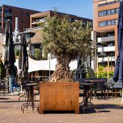 CARREZ Pflanzkübel aus Cortenstahl – Langlebig, wetterbeständig und mit eleganter Rostoptik, ideal für Gärten und Gastronomiebetriebe. Individuelle Größen und Sonderanfertigungen verfügbar.