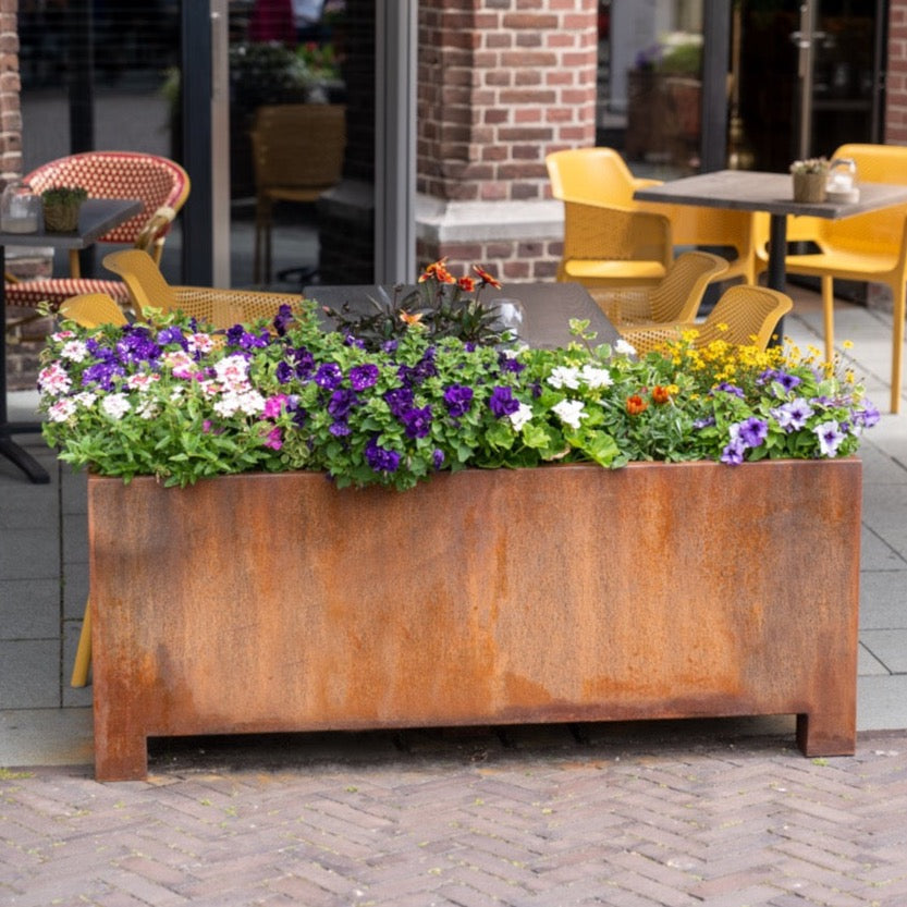 Der CARREZ Pflanzkübel aus Cortenstahl ist ein moderner Pflanzbehälter mit klaren, rechten Winkeln und einer doppelten Kante für mehr Stabilität. Die rostbraune Farbe entsteht auf natürliche Weise und schützt das Material vor Witterung. Das Material, auch als wetterfester Stahl bekannt, hält extremen Bedingungen stand und ist ideal für den Garten oder Terrassenbereiche. Mit Maßen von bis zu 2 Metern Breite und 80 cm Höhe bietet der CARREZ viel Platz für Pflanzen.
