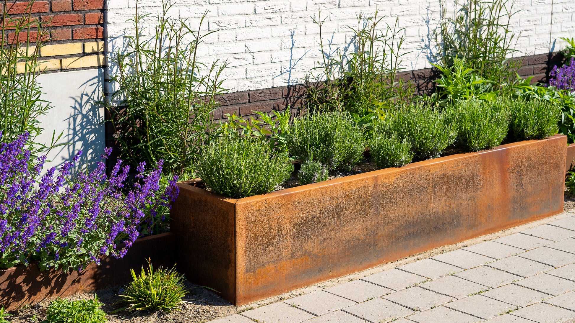 Flexible Größen für individuelle Gestaltung
Wählen Sie aus verschiedenen Größen von 400 bis 1200 mm Breite und Tiefe sowie 400 bis 800 mm Höhe. Gestalten Sie Ihren Garten ganz nach Ihren Wünschen – das Pflanzgefäß CARREZ bietet individuelle Möglichkeiten für jede Pflanze.