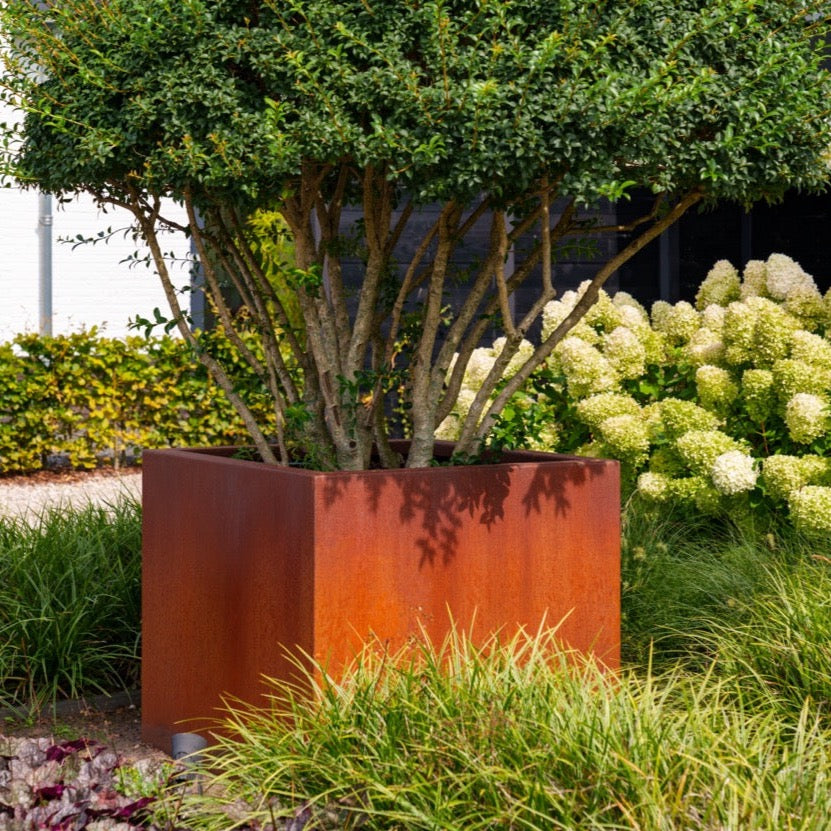 CARREZ Pflanzgefäß aus Cortenstahl: Ein robustes Pflanzgefäß mit warmem, rostbraunen Look. Ideal für den Garten oder als Trennwand.