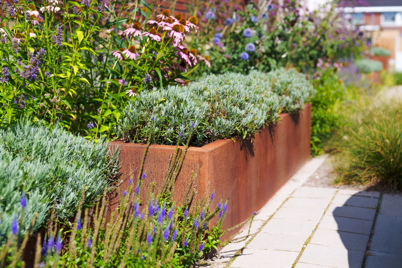 Adezz I Carrez aus Cortenstahl, rechteckig