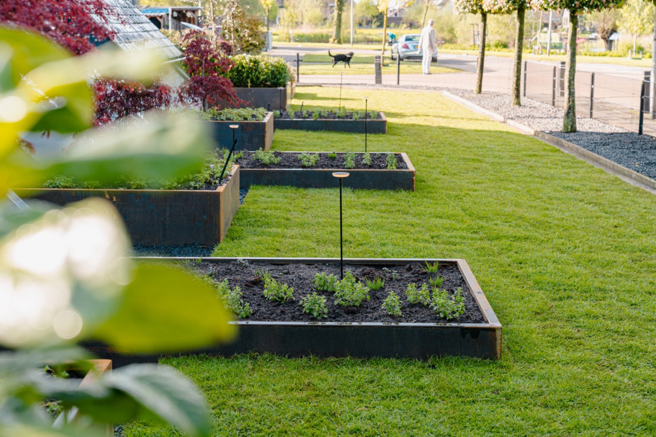 Adezz I Carrez aus Cortenstahl, rechteckig