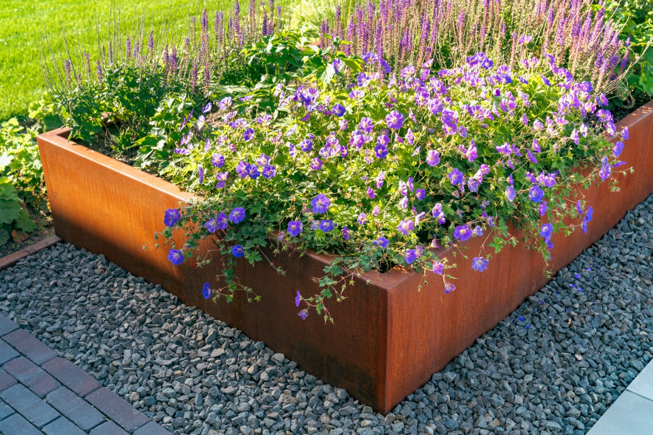 Adezz I Carrez aus Cortenstahl, rechteckig