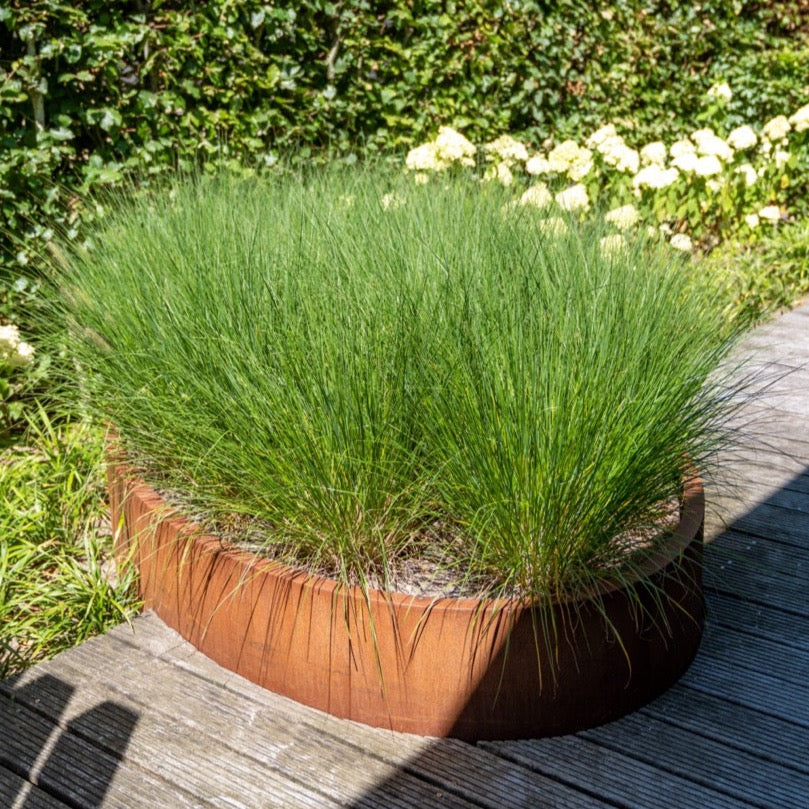 Diese Rostschicht schützt das Material vor weiterer Korrosion und verleiht dem Pflanzgefäß eine einzigartige, warme Farbe.