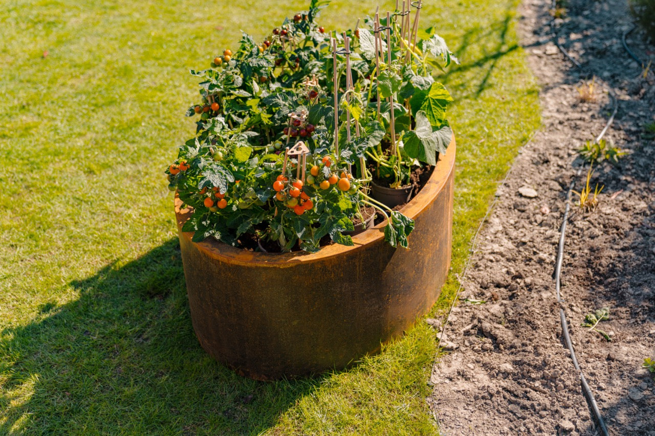 Er eignet sich ideal für Gärten und Terrassen und fügt sich harmonisch in jede Landschaft ein.