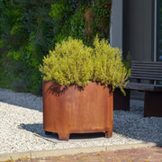Das CIRCUM Pflanzgefäß von Adezz ist ein dekoratives Gartenaccessoire aus wetterfestem Cortenstahl, das durch eine charakteristische Rostschicht besticht. Es hat eine runde Form, kommt in verschiedenen Größen und steht auf stabilen Füßen für optimale Belüftung und Entwässerung. Das Gefäß eignet sich für Blumen und Gräser und verleiht Außenbereichen eine warme, rustikale Note.