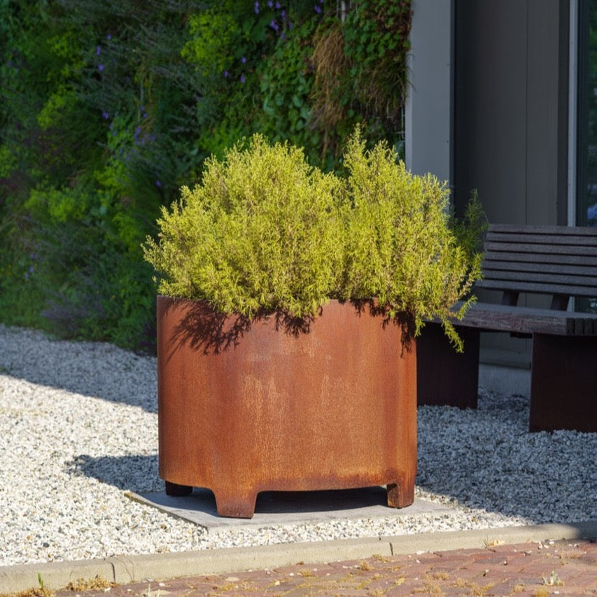 Das CIRCUM Pflanzgefäß von Adezz ist ein dekoratives Gartenaccessoire aus wetterfestem Cortenstahl, das durch eine charakteristische Rostschicht besticht. Es hat eine runde Form, kommt in verschiedenen Größen und steht auf stabilen Füßen für optimale Belüftung und Entwässerung. Das Gefäß eignet sich für Blumen und Gräser und verleiht Außenbereichen eine warme, rustikale Note.