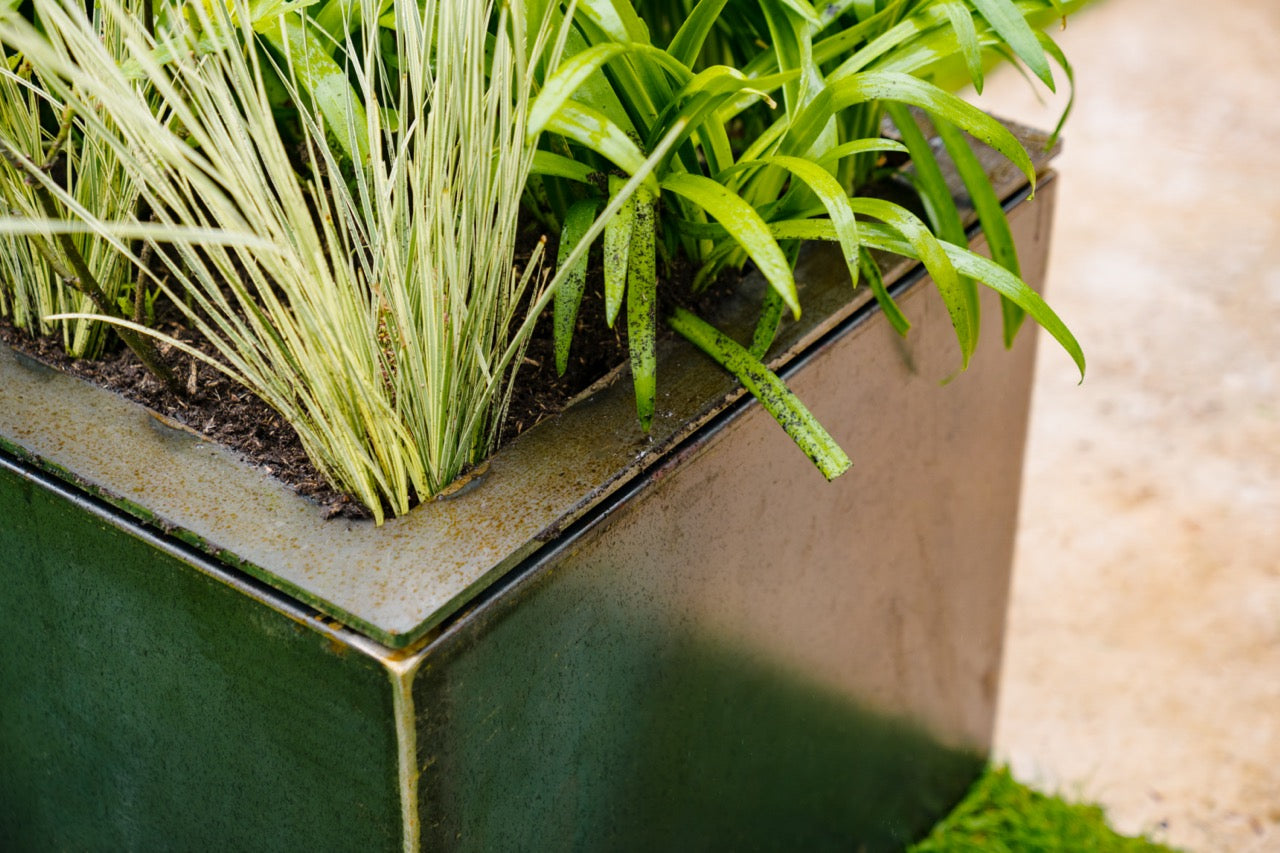 Pflege: Stellen Sie sicher, dass überschüssiges Wasser abfließen kann, und verwenden Sie keine feuchtigkeitsbindenden Hydro-Pellets.