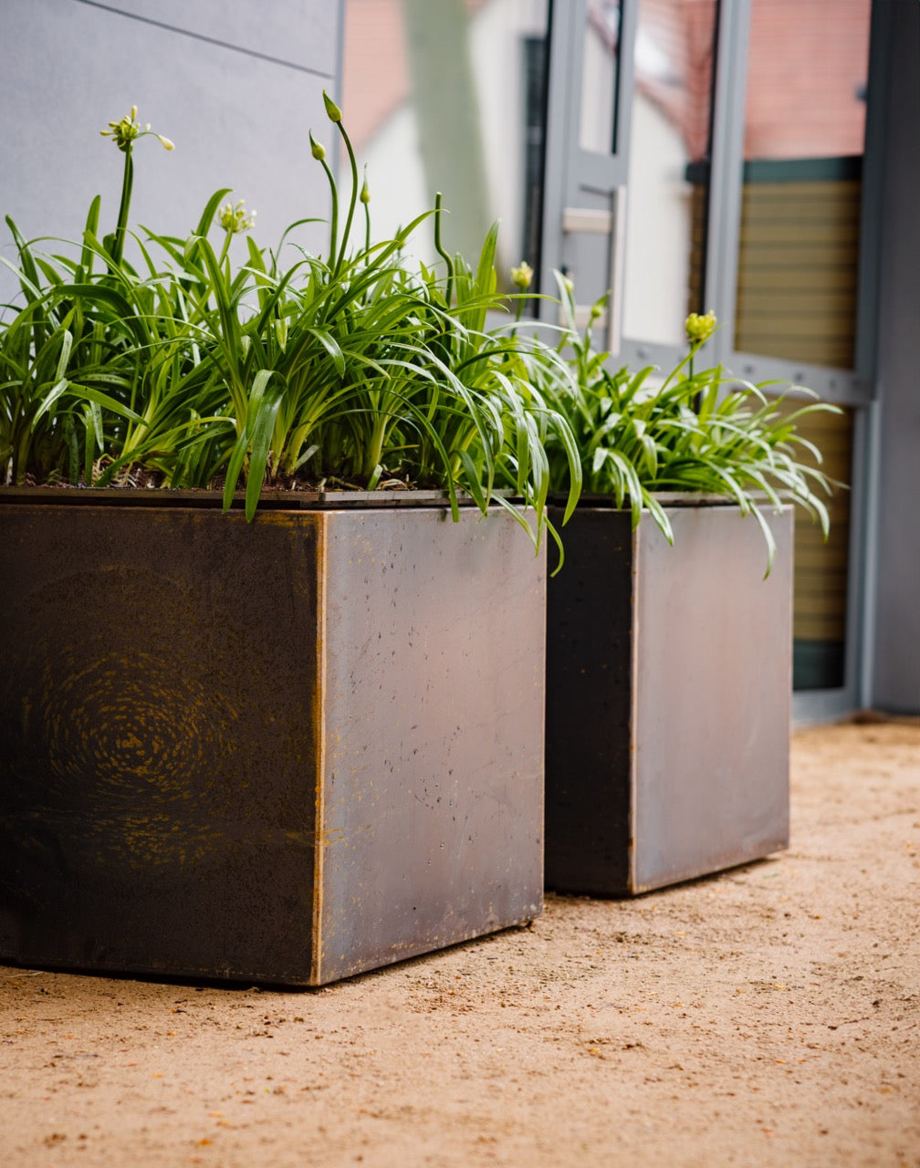 Adezz I Domus Pflanzgefäß aus Cortenstahl