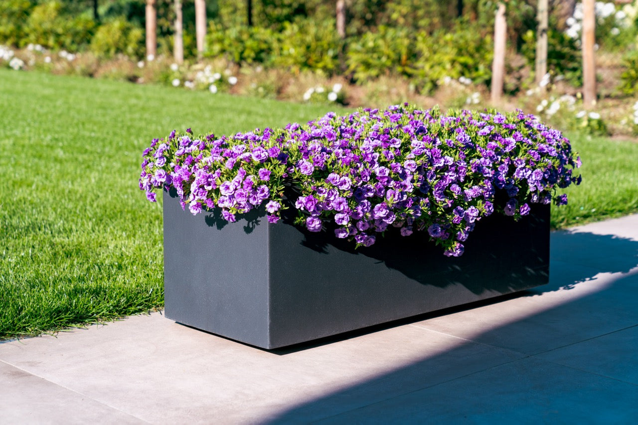 Frostbeständig und langlebig
Nutzen Sie die Vorteile von frostbeständigem Fiberglas! Ihr Pflanzgefäß übersteht problemlos verschiedene Wetterbedingungen und bleibt Ihnen jahrelang treu. Das ist Zuverlässigkeit für Ihren Garten!