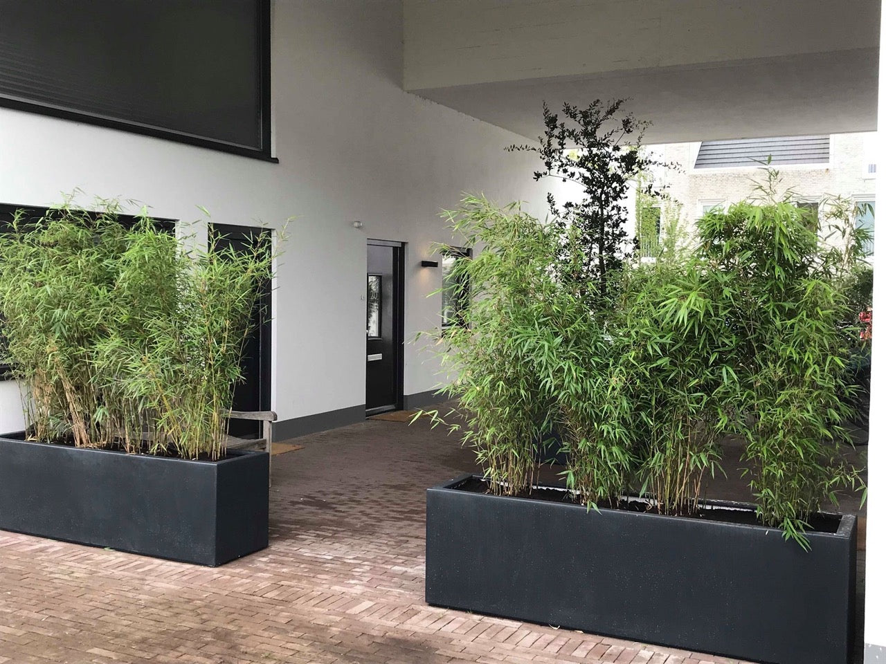 Elegantes Design trifft auf Funktionalität
Das CARREZ Fiberglas Pflanzgefäß überzeugt mit einem zeitlosen Design und sorgt für frische Akzente in Ihrem Außenbereich. Genießen Sie die vielfältigen Farboptionen und finden Sie das perfekte Gefäß für Ihre Gartenideen.

Für jede Jahreszeit geeignet – frostbeständig
Einfach zu reinigen und zu pflegen
Ideal für Gärten, Terrassen und Wintergärten