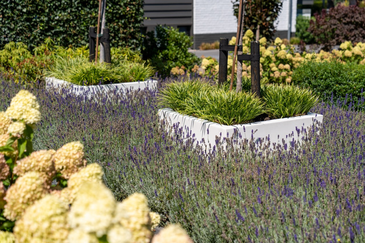 Praktische Pflegeleichtigkeit
Das Fiberglas-Pflanzgefäß ist leicht zu reinigen und bleibt dabei pflegeleicht. Verwenden Sie ein weiches Tuch und mildes Reinigungsmittel für die beste Pflege. Einfach, praktisch und dauerhaft schön.