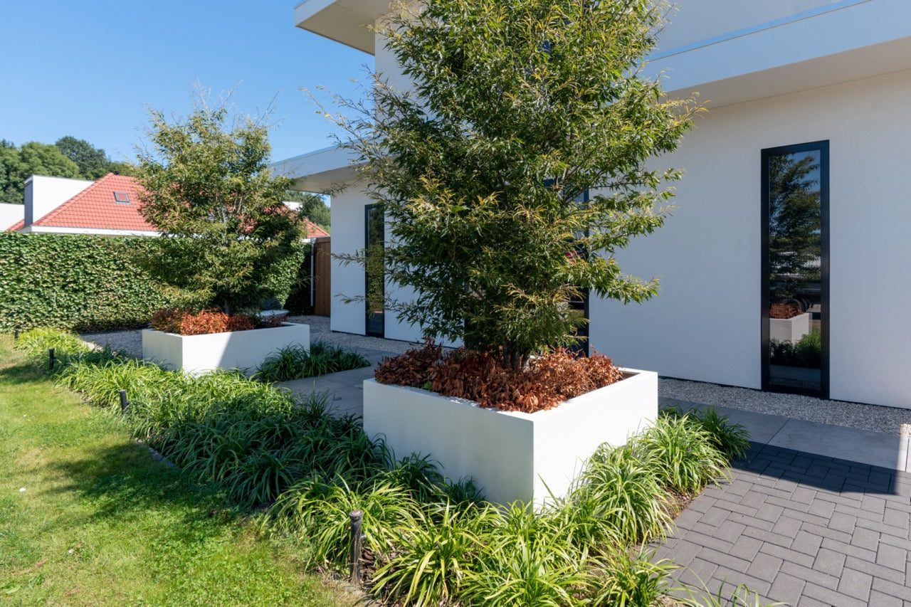 Flexibel in der Größe für jeden Bedarf
CARREZ passt sich Ihren Wünschen an: Von 400 bis 2000 mm Breite und Tiefe sowie Höhen von 400 bis 1200 mm – in vielen Größen erhältlich, perfekt für große und kleine Gärten.