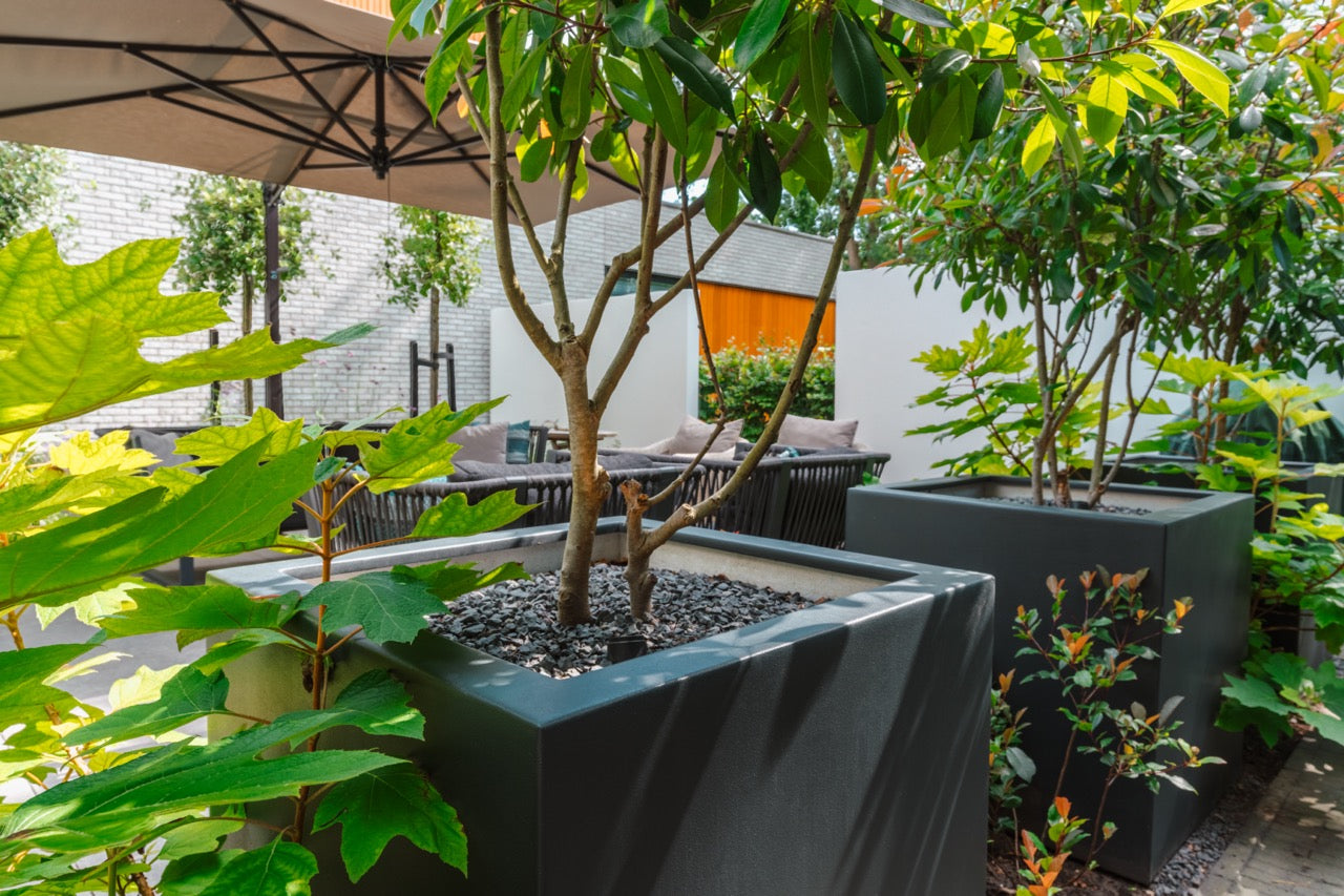 Adezz I Carrez aus Fiberglas, quadratisch