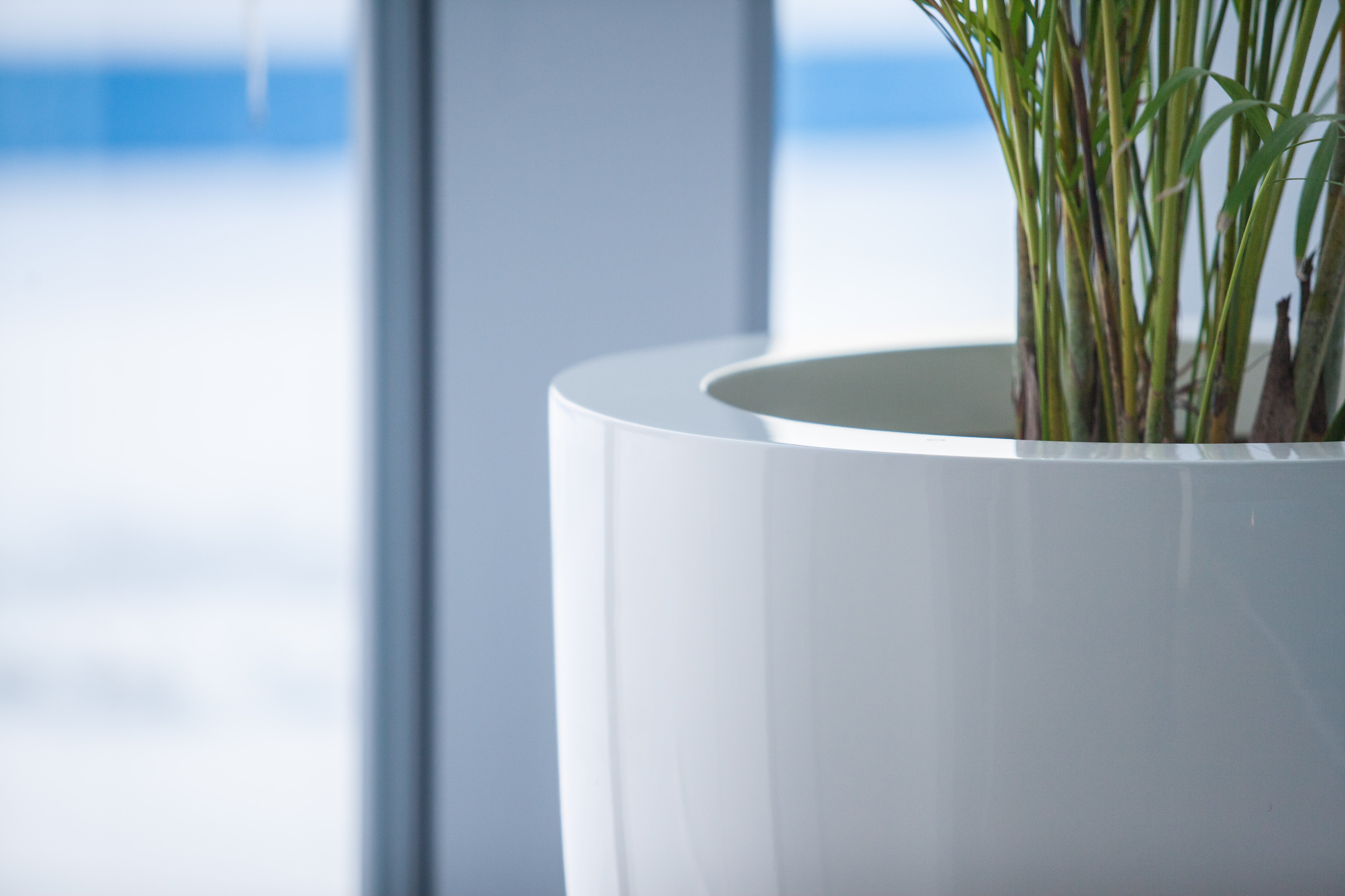 Adezz I Canna aus Fiberglas Hochglanz