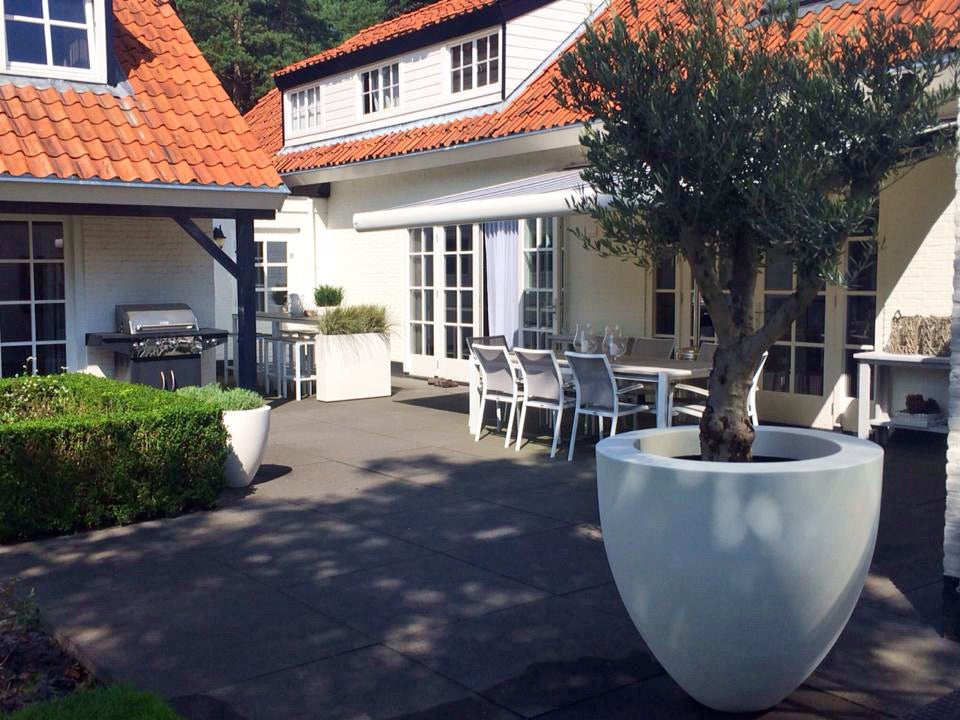 Adezz I Canna aus Fiberglas