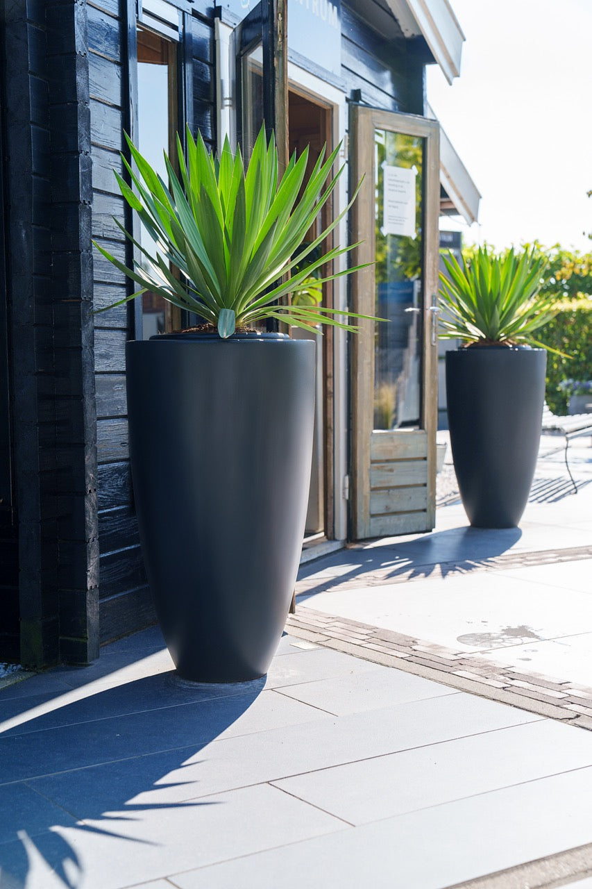 Adezz I Canna aus Fiberglas