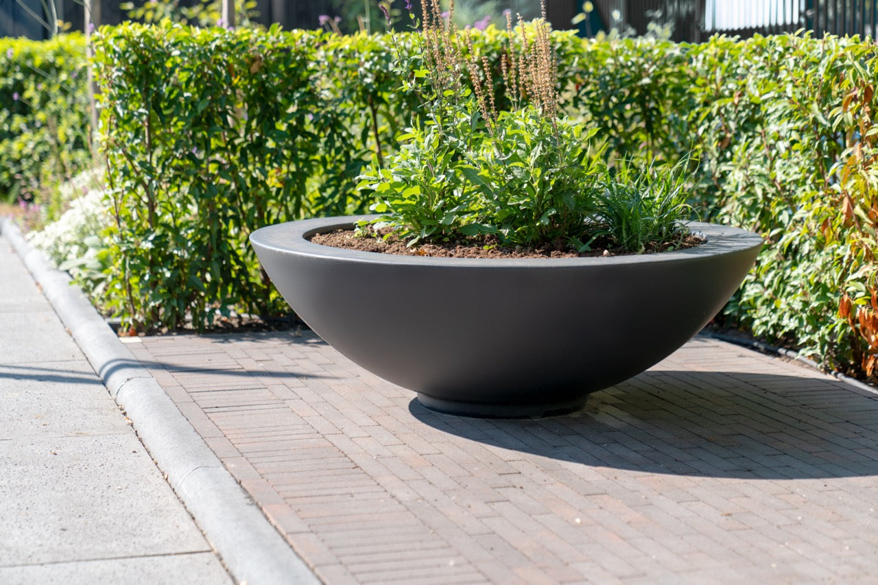 Adezz I Ceder Pflanzschale aus Fiberglas