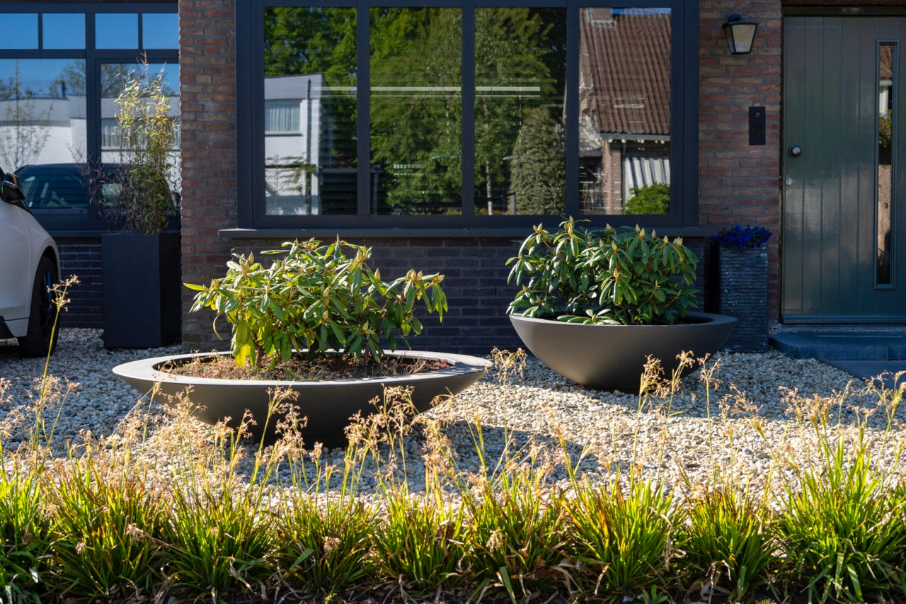 Adezz I Ceder Pflanzschale aus Fiberglas