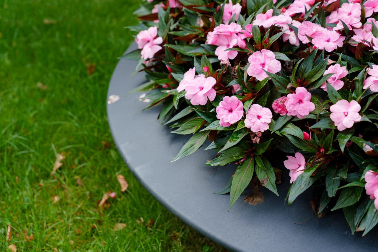 Das Malva Pflanzgefäß aus Fiberglas bietet durch seine stabile Konstruktion und das ansprechende Design eine tolle Möglichkeit, Pflanzen zu präsentieren. Es ist UV-beständig und bleibt jahrelang schön. Die Auswahl an Farben ermöglicht eine individuelle Anpassung an Ihre Gartengestaltung.