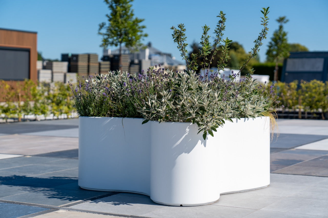 Pflanzgefäß Adezz Organ – Robust und stilvoll

Das Adezz Organ Pflanzgefäß aus Fiberglas passt perfekt in jeden Garten. Erhältlich in Verkehrsweiß, Schwarzgrau und Anthrazitgrau, bietet es durch seine erhöhte Bodenstruktur eine gute Drainage. Es ist pflegeleicht und bleibt über Jahre farbecht, ideal für jede Gartengestaltung.